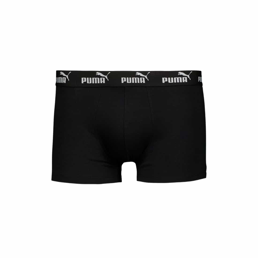 Lenjerie De Corp Puma Elements Men Basic Trunks 2P 2