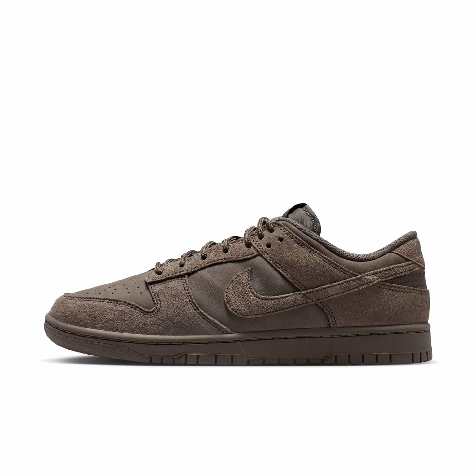 Ghete Nike Dunk Low Retro SE 2