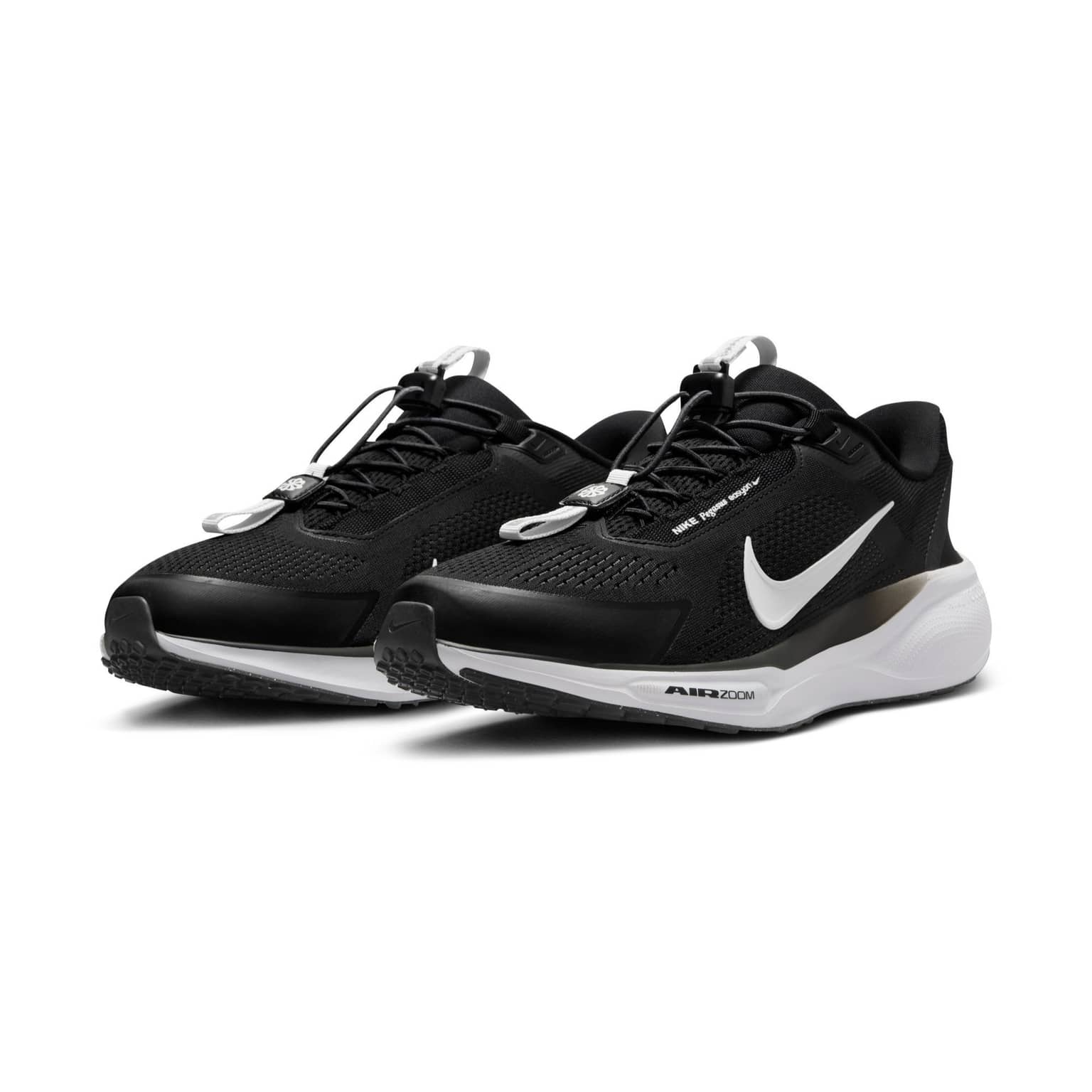 Adidași Nike Pegasus EasyOn